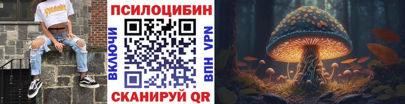 мега ссылки  Щигры  Псилоцибиновые грибы мухоморы 